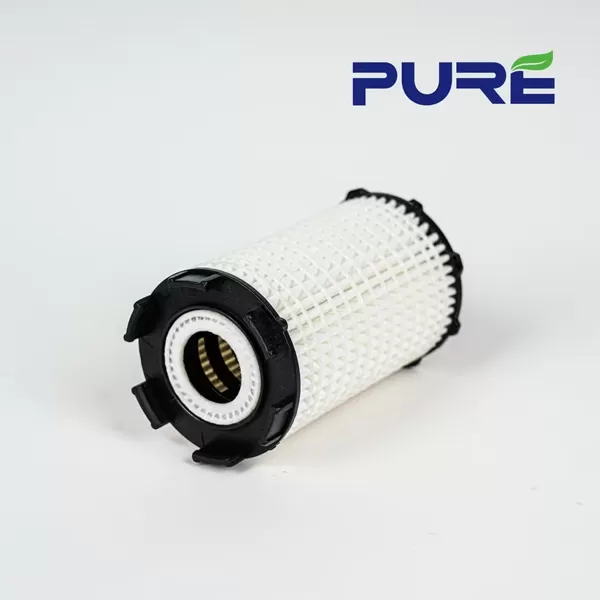 PURE Oil Filter 079198405Bf or 06 Audi Q7 4.2FSI/10 Touareg/10 Audi R8