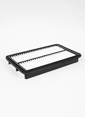 "The Lung of the Car" – Air Filter