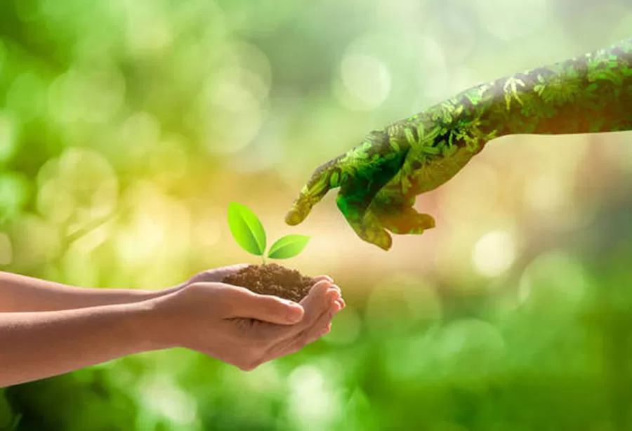 Environmental protection responsibility